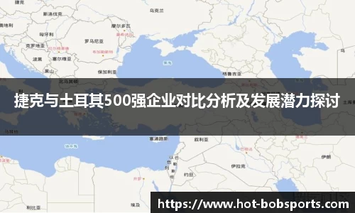 捷克与土耳其500强企业对比分析及发展潜力探讨
